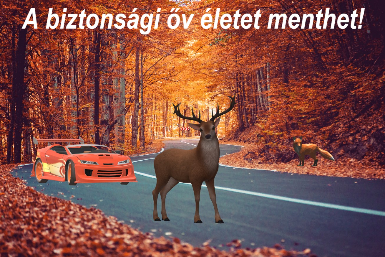 Ősz